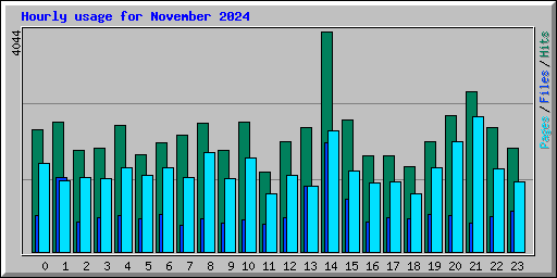 Hourly usage for November 2024