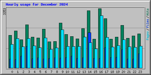 Hourly usage for December 2024