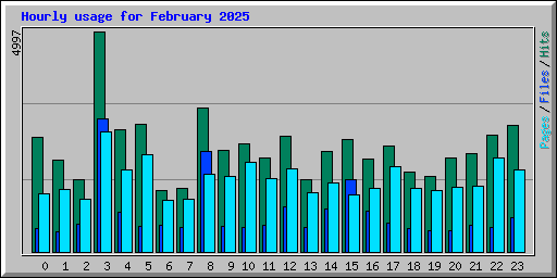 Hourly usage for February 2025