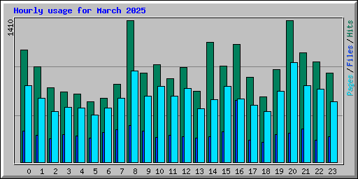 Hourly usage for March 2025