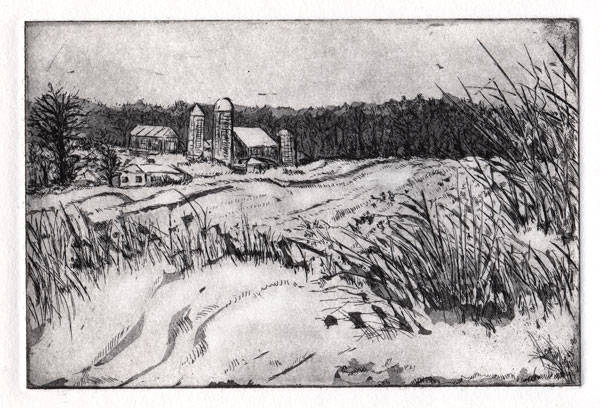 Snowy Farm